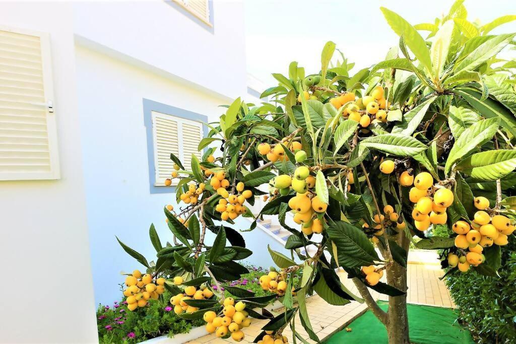 Vila Ventura Marina البوفيرا المظهر الخارجي الصورة